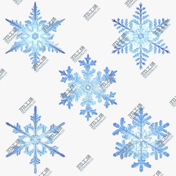 images/goods_img/20210312/Collection of Snowflakes/1.jpg